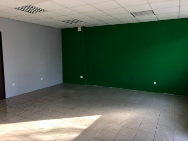 Malowanie pomieszczeń /elewacji