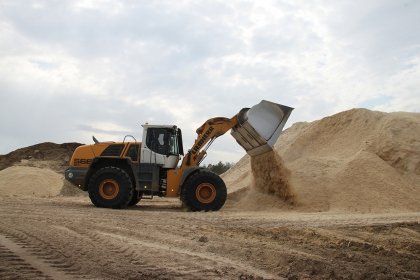 Wycinka sadów,karczowanie sadów,aronii,samosiejek,likwidacja samosiewu.