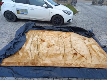 Pranie ekstrakcyjne lub maszynowe dywanów i wykładzin. Wszystkie typy materiałów.