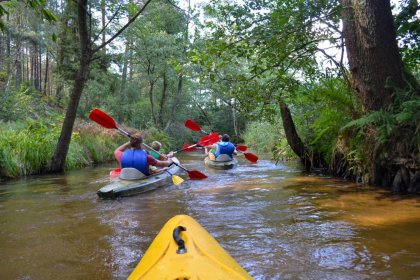 SPŁYWY KAJAKOWE NA ROZTOCZU – BLISKO NATURY