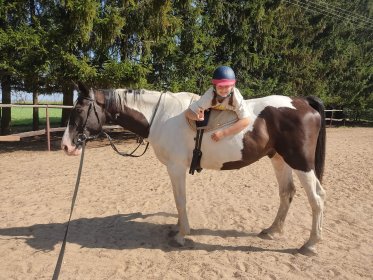 ranczo agroturystyczne ze stajnią