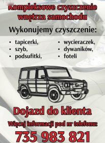 Kompleksowe czyszczenie wnętrza samochodu