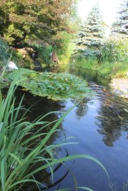 Budowa oczek i strumieni oraz biotopów wodnych