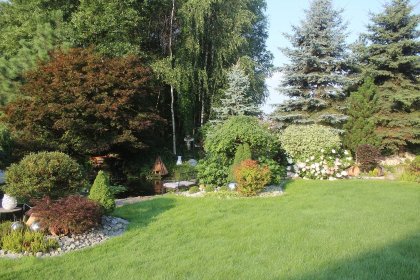 Rośliny i Ogrody: Oferujemy Piękno i Łatwość Pielęgnacji