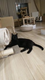 Wizyta domowa do 30 minut