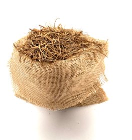 Kozłek lekarski valeriana