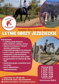 Obozy kolonie polkolonie