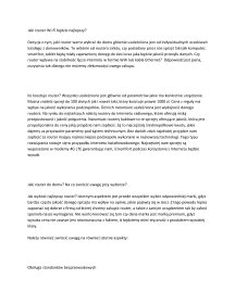 Artykły, teksty na bloga, social media