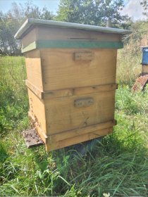 Sprzedam 20 rodzin pszczelich z ulami.