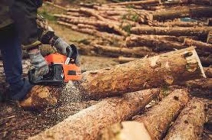 PIŁOWANIE RĄBANIE TRANSPORT