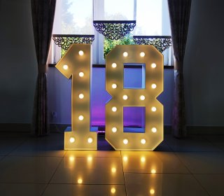 Cyfry LED (od 0 do 100)