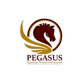 Kompleksowe Usługi Detektywistyczne