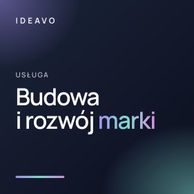 Budowa i rozwój marki w kanałach cyfrowych