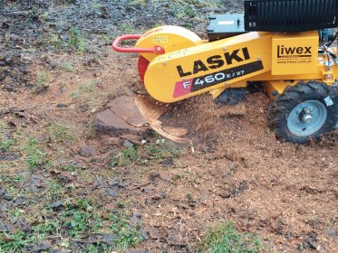 frezowanie (usuwanie) pniaków