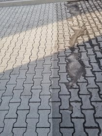 Mycie kostki brukowej