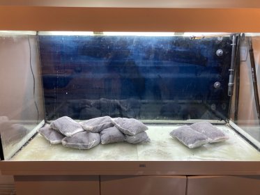 Zakładania akwariów