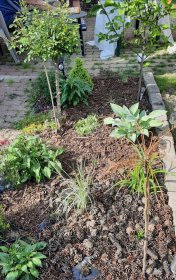 Pielęgnacja ogrodów