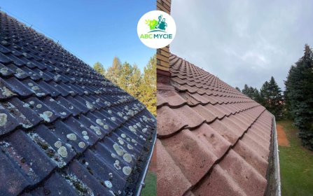 Usługi mycia ciśnieniowego i pielęgnacji