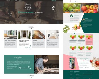 Projekt i realizaja strony internetowej