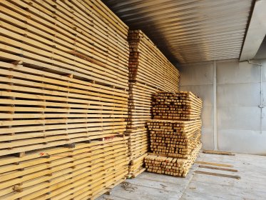 Usługowe suszenie drzewa