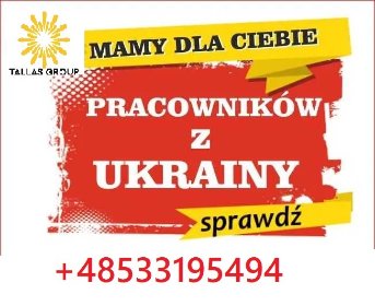 Mamy pracowników z Ukrainy – szybko i tanio wypełnij wakaty!