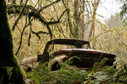 INDYWIDUALNE PROJEKTY