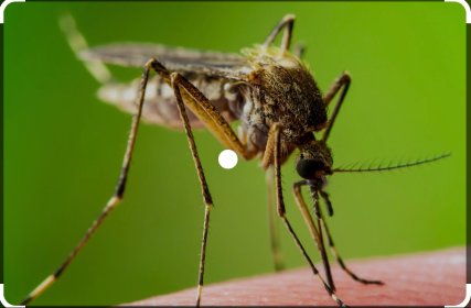 Dezynfekcja, dezynsekcja, deratyzacja.