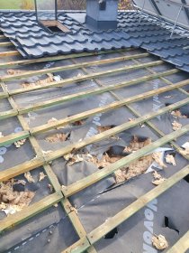 Naprawy szkód po kunie docieplanie celulozą