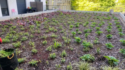 koszenie trawy, przycinanie drzew, układanie trawy