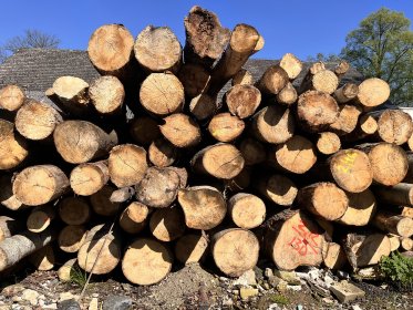 Drewno opałowe - Osika