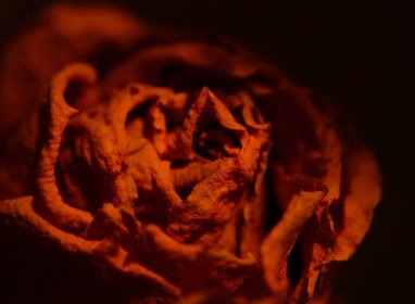 Fotografia artystyczna