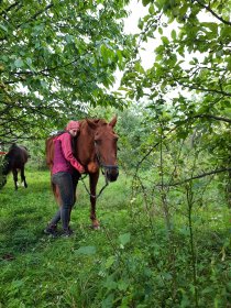 Warsztaty rozwojowe z udziałem koni