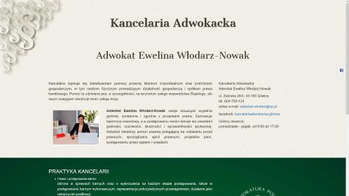 Projektowanie stron internetowych, rejestracja domen oraz hosting (utrzymanie strony)