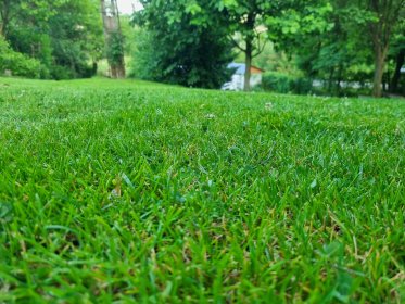 Koszenie trawy, usługi ogrodowe