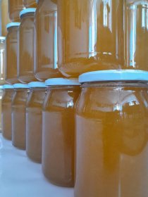 Miód wielokwiatowy z domieszką rzepakową