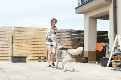 Indywidualna konsultacja behawioralna 🐾