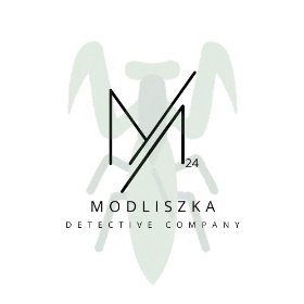 Obserwacja, zbieranie dowodów do Sądów w sprawach rodzinnych i karnych,