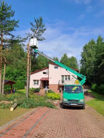 Wycinka drzew i krzaków