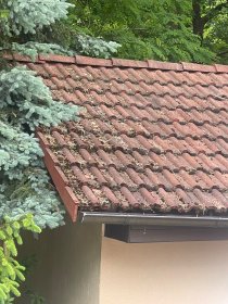 Mycie i malowanie dachu