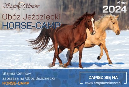 Obóz jeździecki konny dla dzieci Stajnia Celinów