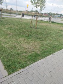 Koszenie trawników i terenów zewnętrznych