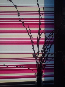 Osłony roletowe wewnętrzne