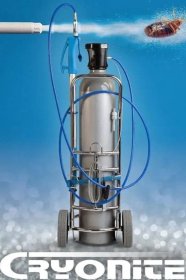 Wymrażanie karaluchów