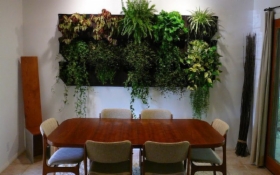 GreenSystem - systemowe ogrody ścienne ABSOLUTNA NOWOŚĆ !!!