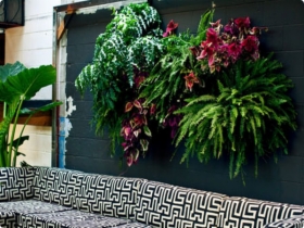 GreenSystem - systemowe ogrody ścienne ABSOLUTNA NOWOŚĆ !!!