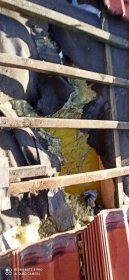 Naprawa ocieplenia po kunie domowej