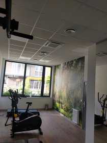 Gładzie , malowanie , tapetowanie