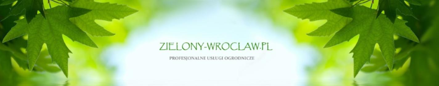 OGRÓD - PROJEKT REALIZACJA PIELĘGNACJA
