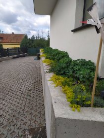 sadzenie bylin, krzewów,drzew