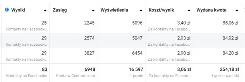Profesjonalna reklama w social mediach